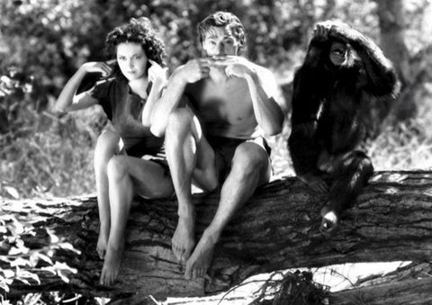 Poster DIN 4 numero 0951: Tarzan (Johnny Weissmüller) modelo 23