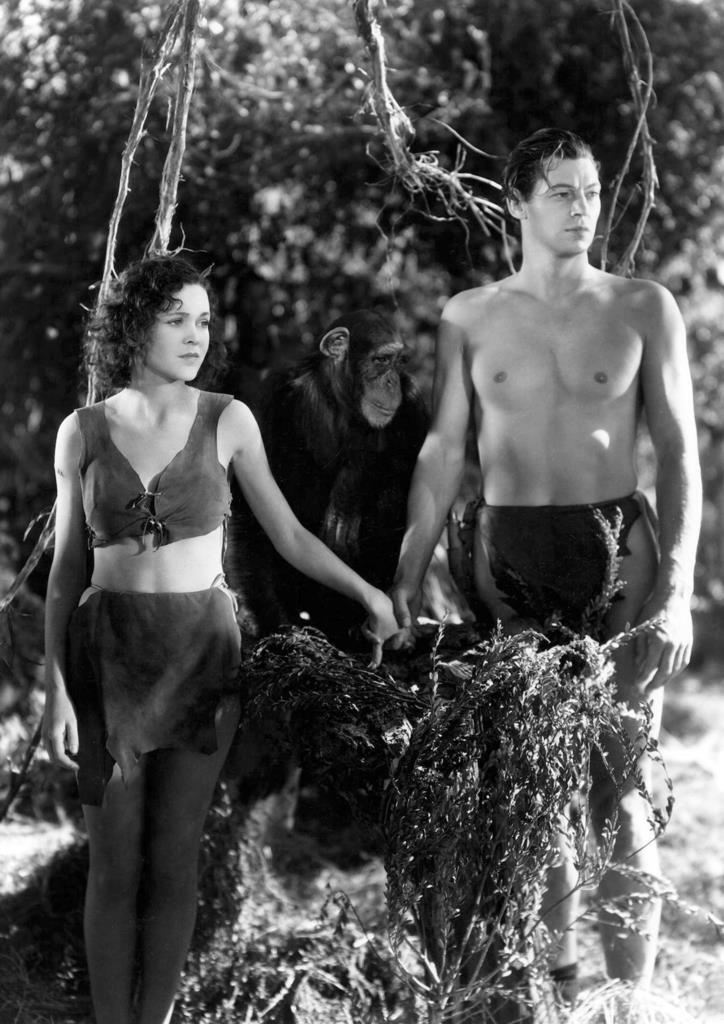 Poster DIN 4 numero 0956: Tarzan (Johnny Weissmüller) modelo 28