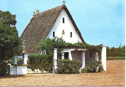 POSTAL A3900: Barraca tipica de Valencia