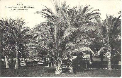 POSTAL A3481: Promenade du Chateau en Niza