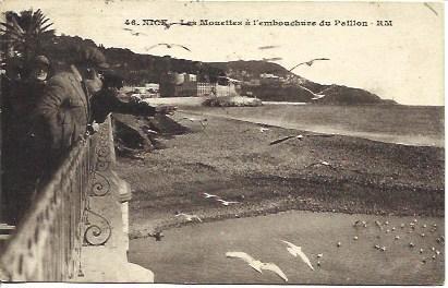 POSTAL A3466: Les Mouettes de Niza