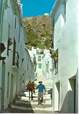 POSTAL A3678: Calle El Zacatin de Frigiliana, Malaga