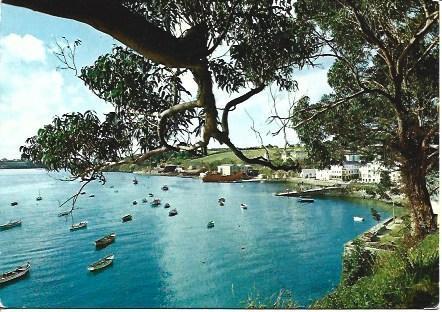POSTAL A3666: Vista parcial de Figueras, Asturias 