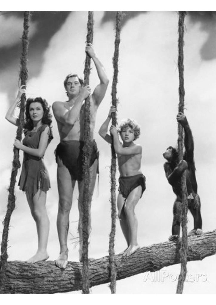 Poster DIN 4 numero 0985: Tarzan (Johnny Weissmüller) modelo 37