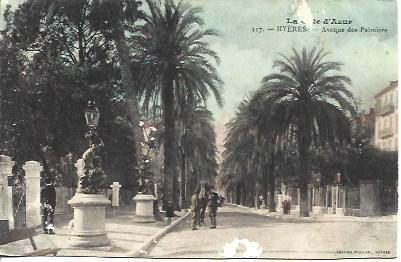 POSTAL A4558: Avenue des Palmeres en Hyeres