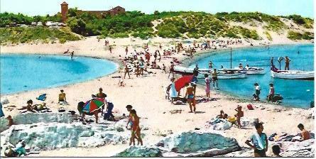POSTAL A4238: Las Muscleras en L'Escala