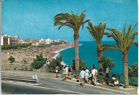 POSTAL A4129: Playa y palmeral de Calella, Barcelona