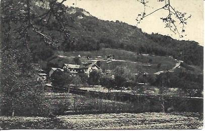 POSTAL A4401: Les narcisses aux Chevalleyres, Francia