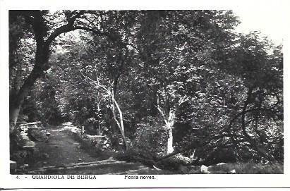 POSTAL A4372: Fonts Noves en Guardiola de Berga