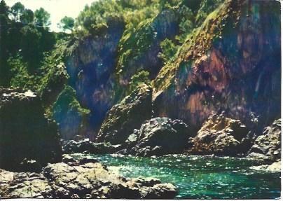 POSTAL A4433: Cap Roig en Calella de Palafrugell