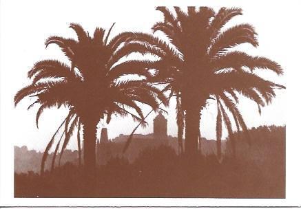 POSTAL A4312: Palmeras y vista de Girona