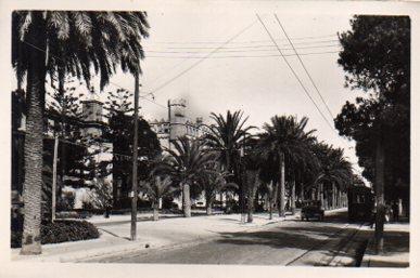 POSTAL PV06575: Paseo de Sagreda en Palma de Mallorca
