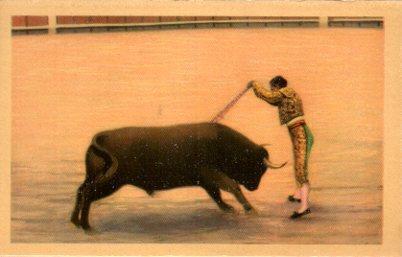 POSTAL PV06585: Toros. Un buen par de banderillas
