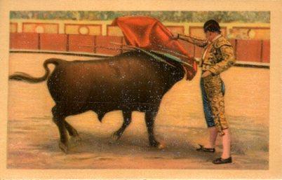 POSTAL PV06586: Toros. Vicente Barrera