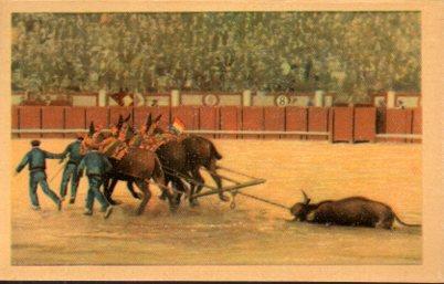 POSTAL PV06589: Toros. El arrastre del toro