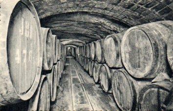 POSTAL PV06554: Cavas Codorniu. Vinos en crianza (ver descripcion)