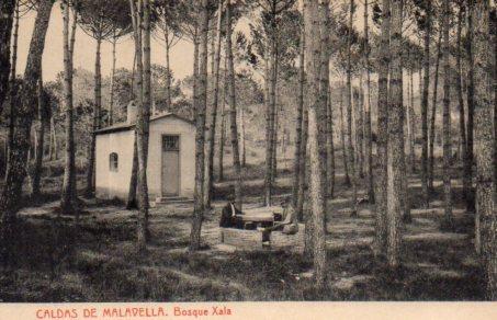 POSTAL PV06989: Bosque Xala, Caldas de Malavella