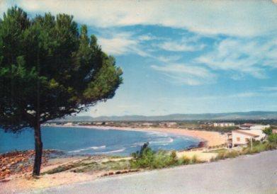 POSTAL PV06845: Vista panoramica desde la carretera de Salau y su playa