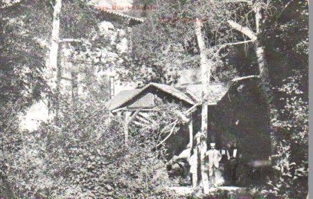 POSTAL PV06232: Fuente Amarga rodeada de vegetacion en Sant Hilari SAcalm