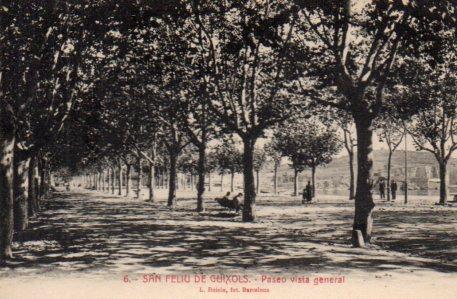 POSTAL PV06214: Vista del paseo con arboles frondosos en San Feliu de Guixols