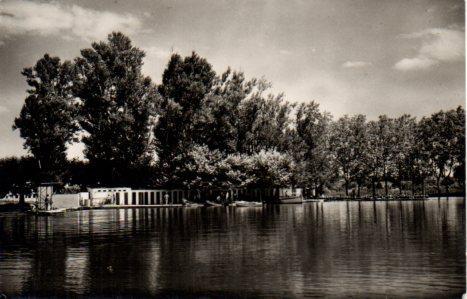 POSTAL PV06206: Lago de Bañolas vista parcial