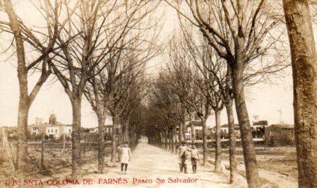 POSTAL PV06288: Paseo San Salvador en Santa Coloma de Farners