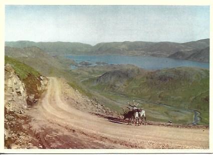 POSTAL A5177: Carretera en Cabo Norte en Noruega