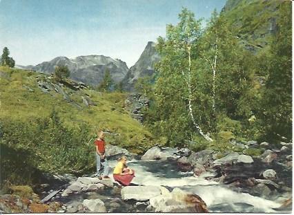 POSTAL A5110: Vista de Djupvass en Noruega