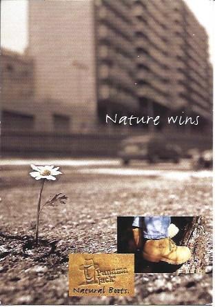 POSTAL A5306: Panama Jack Nature Wins