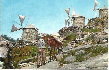 POSTAL A5245: Molinos en Portugal