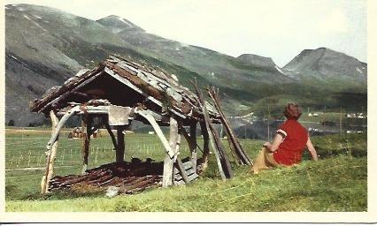 POSTAL A5242: Valle entre Geiranger e Ytterdal, Noruega