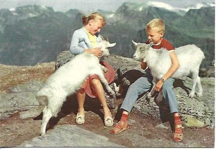 POSTAL A5236: Niños con ovejas en Noruega