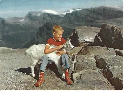 POSTAL A5235: Niño en Noruega