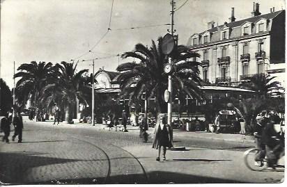 POSTAL A4826: Palmeral de Perpignan