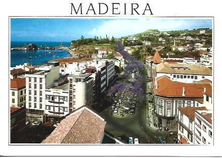 POSTAL A5023: Funchal en Madeira