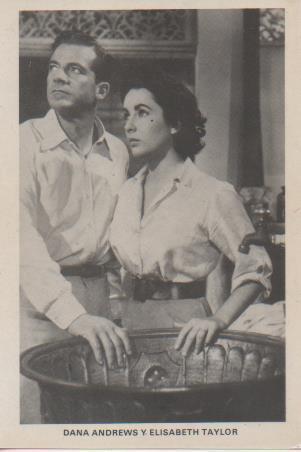 Postal E07742: Las Mas Bellas Postales. Cine de los años 50. Dana Andrews y Elisabeth Taylor