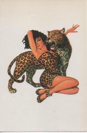 Postal E07585: Las Mas Bellas Postales Siglo XIX y XX. Chicas Pin-Up (13)