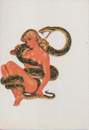 Postal E07588: Las Mas Bellas Postales Siglo XIX y XX. Chicas Pin-Up (16)