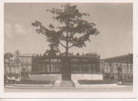 Postal E07642: Habana a Principios del Siglo XX, Arbol de la Fraternidad Americana