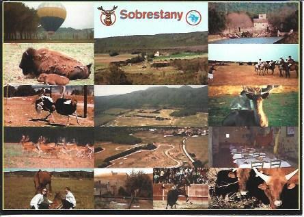 POSTAL A5954: Parc Animal en Sobrestany en Girona
