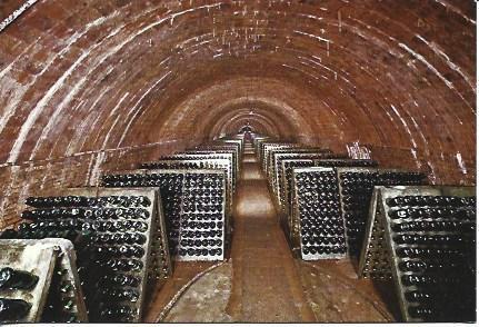 POSTAL A5881: Cavas Rondel, botellas en pupitre