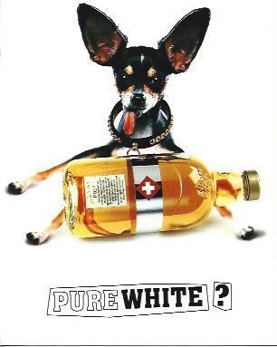 POSTAL A5422: PureWhite, cognac blanco