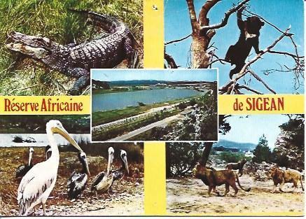 POSTAL A5466: Animales en Reserva de Sigean