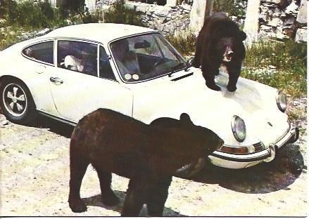 POSTAL A5467: Osos en la reserva de Sigean