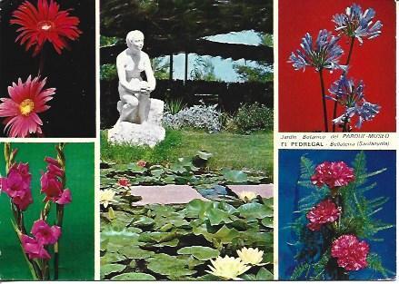 POSTAL A5325: Jardin Botanico de El Pedregal de Bellaterra