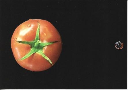 POSTAL A5373: Tomate