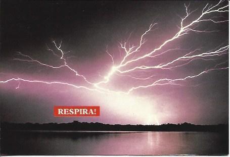 POSTAL A5564: Publicidad de Neo Person