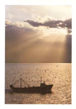 POSTAL PV07135: Barca al mar, Costa Brava