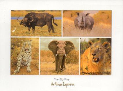 POSTAL PV07244: The Big Five. An African Experience