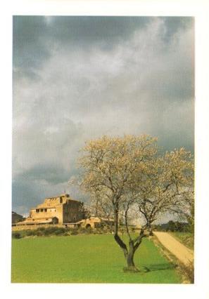 POSTAL PV07132: Castell de Vilarig, Alt Emporda